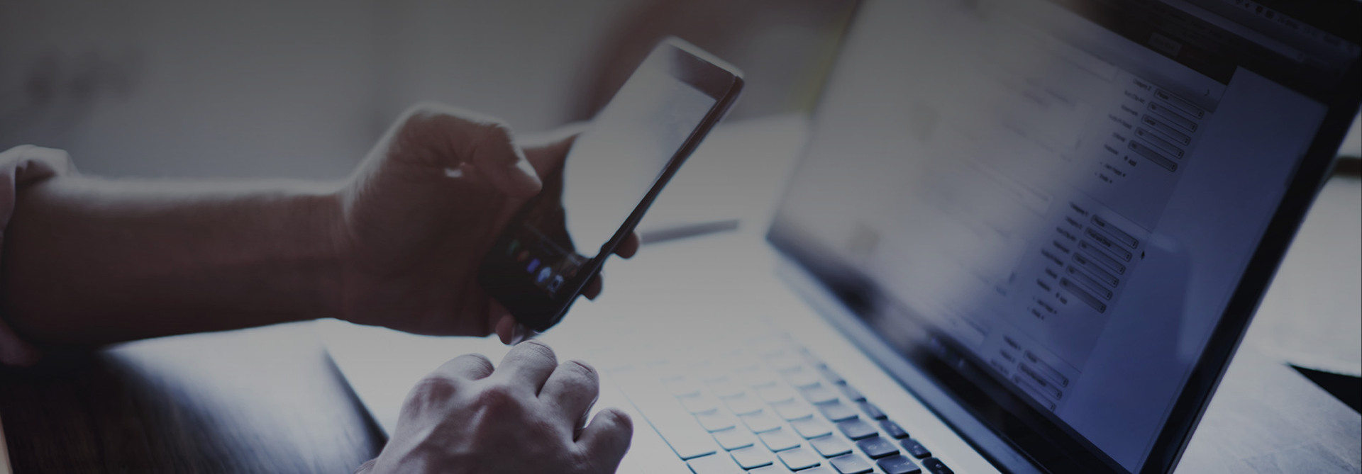 早晴™ 企业建站和APP、系统定制服务